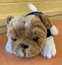 Collegiate Plush Bulldog 10" w/ Tee