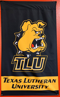 UB TLU Lucky Home Banner