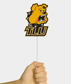 UB Flag Lucky Flag Pop