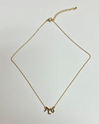 TLU Letter Goldtone Necklace